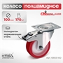 Колесо поворотное с тормозом на НЕРЖАВЕЙКЕ Стелла-техник 6903-100 (100 мм; г/п 170 кг) 6903-100