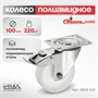 Колесо поворотное с тормозом на НЕРЖАВЕЙКЕ Стелла-техник 5903-100 (100 мм; г/п 200 кг) 5903-100